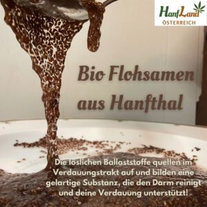 bioflohsamen Schleim