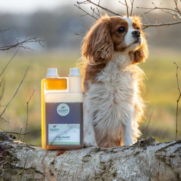 Bio Hanföl 1 l – Bild 4