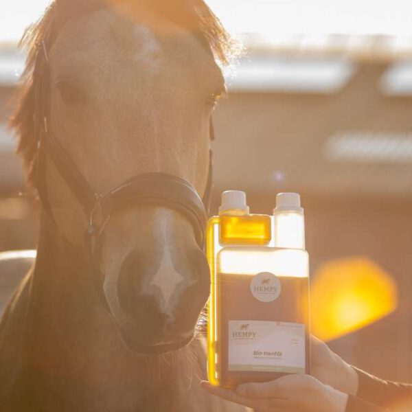 Bio Hanföl 1 l – Bild 3