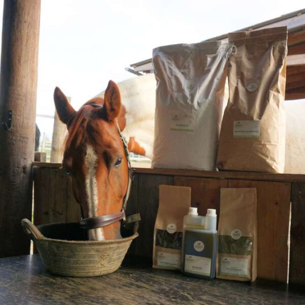 Fellwechselpaket von Hempy