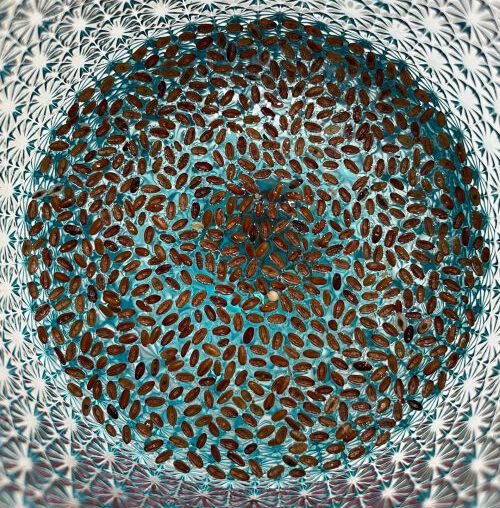 Bio Flohsamen von Hanfland