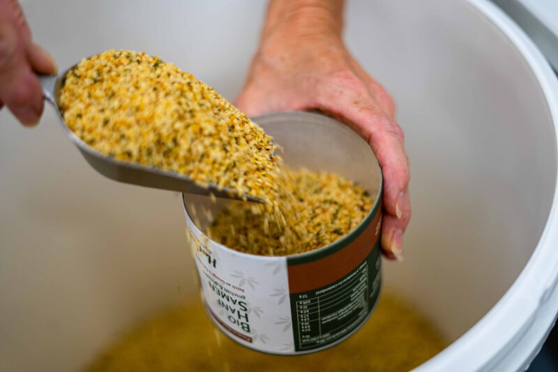 Bio Hanfsamen geschält und geröstet abfüllen