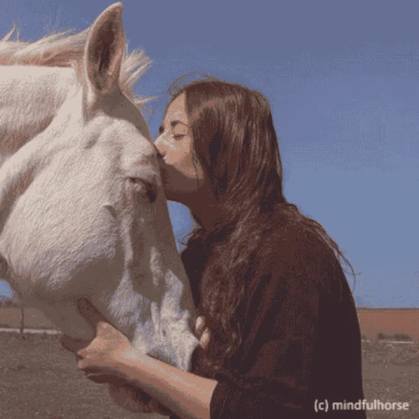 Hanfschrot 20 kg – Bild 6