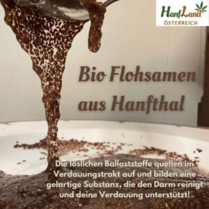 Bio Flohsamen aus Hanfthal quellen im Wasser auf und zeigen ihre gelartige Ballaststoff-Wirkung