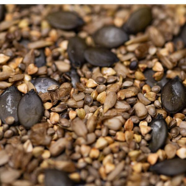 Bio Snackmix aus diversen Getreiden