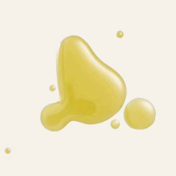 Bio CBD Öl von Hanfland aus Hanfthal – goldener Öltropfen in Nahaufnahme