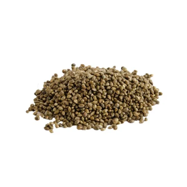 Bio Futterhanfsamen 20 kg – Bild 2