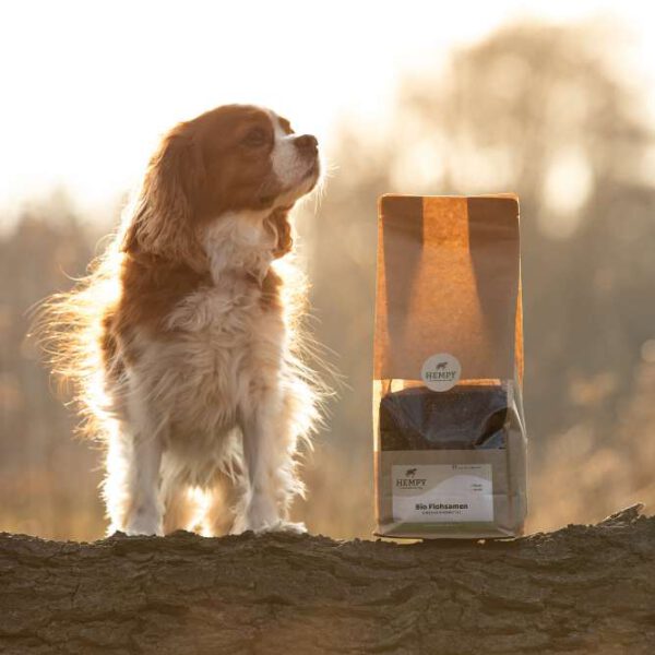 Hempy Bio Flohsamen für Hunde – natürliches Einzelfuttermittel aus Österreich