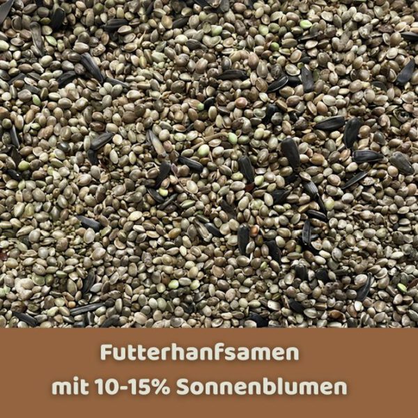 Futterhanfsamen mit 10-15% Sonnenblumen von Hempy für Pferde