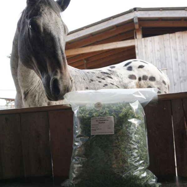 Pferd am Stallzaun mit einer Packung Hempy Bio Hanfblätter davor