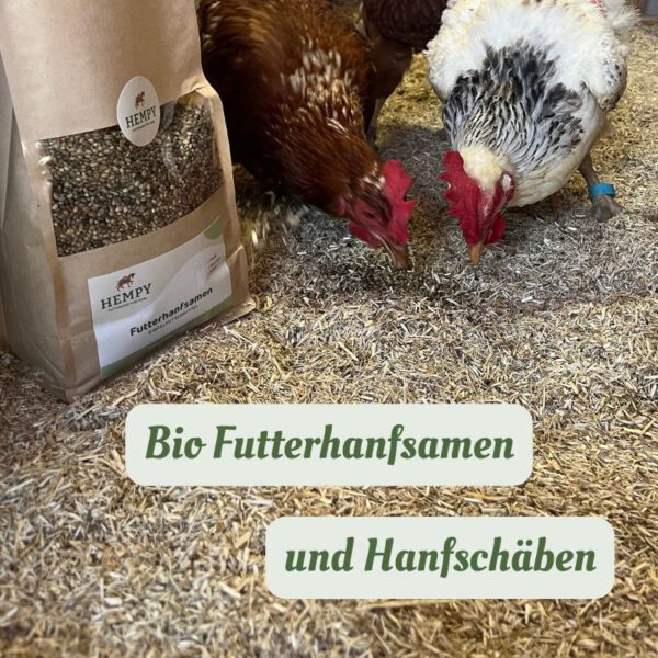 Hempy Hühnerglück-Paket: Bio Futterhanfsamen und Hanfschäben für Hühner